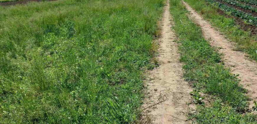 Na prodaju zemlji&scaron;te 3.300 m&sup2; &ndash; Golubovci, Zeta