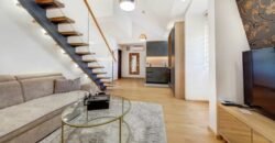 Dupleks jednosoban stan 45 m&sup2; za prodaju &ndash; Zabjelo, Ulica Kralja Nikole