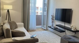 Luksuzan jednosoban stan za izdavanje &ndash; Central Point, Podgorica