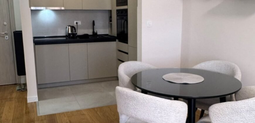 Luksuzan jednosoban stan za izdavanje &ndash; Central Point, Podgorica