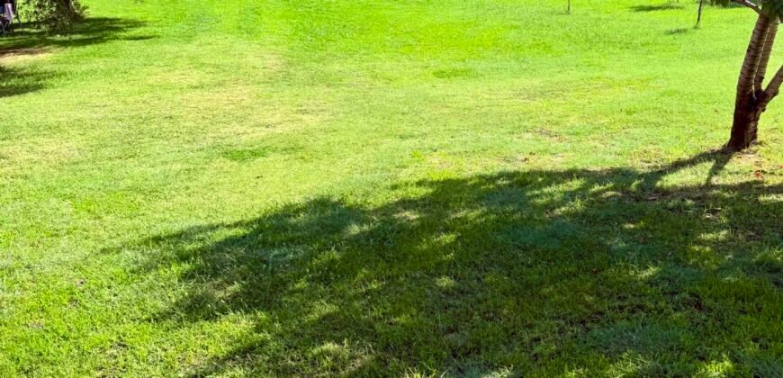 Kuća 180 m&sup2; sa imanjem 3.160 m&sup2; na prodaju &ndash; Smokovac, Podgorica