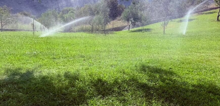 Kuća 180 m&sup2; sa imanjem 3.160 m&sup2; na prodaju &ndash; Smokovac, Podgorica