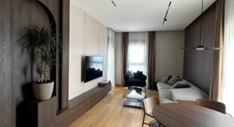Luksuzan jednosoban stan 45,26 m&sup2; sa garažnim mjestom &ndash; Premium Kvart, Podgorica