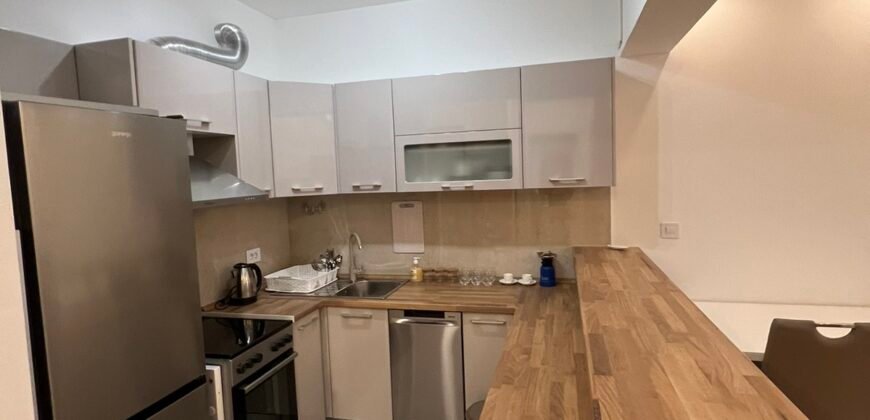 Jednosoban stan za izdavanje &ndash; Master 8-8, Stari Aerodrom, Podgorica, 46 m&sup2;