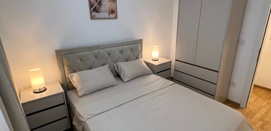 Jednosoban stan za izdavanje &ndash; Master 8-8, Stari Aerodrom, Podgorica, 46 m&sup2;